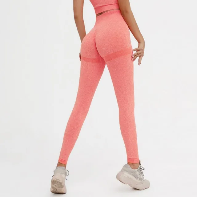 5 Colors Seamless Yoga Set Women 2PCS Sportwear