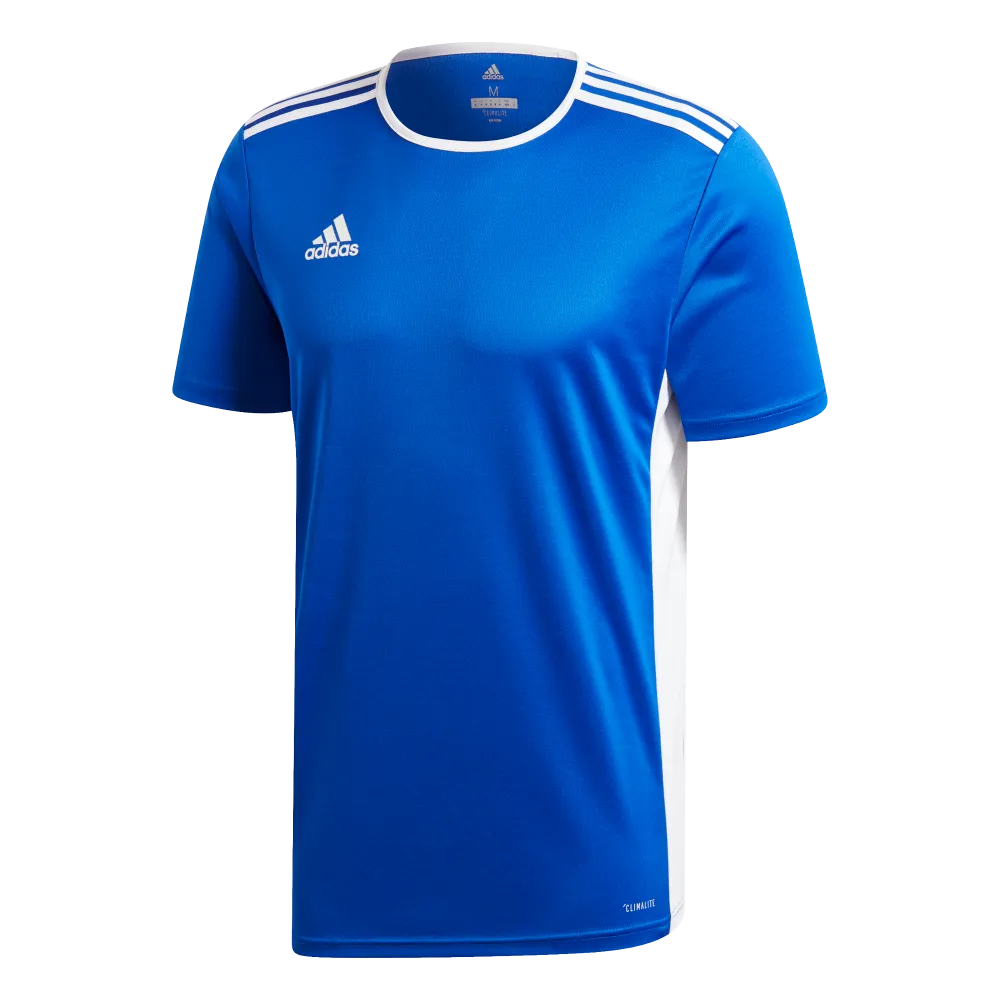 Adidas Adult Entrada 19 Jersey (Blue/White)