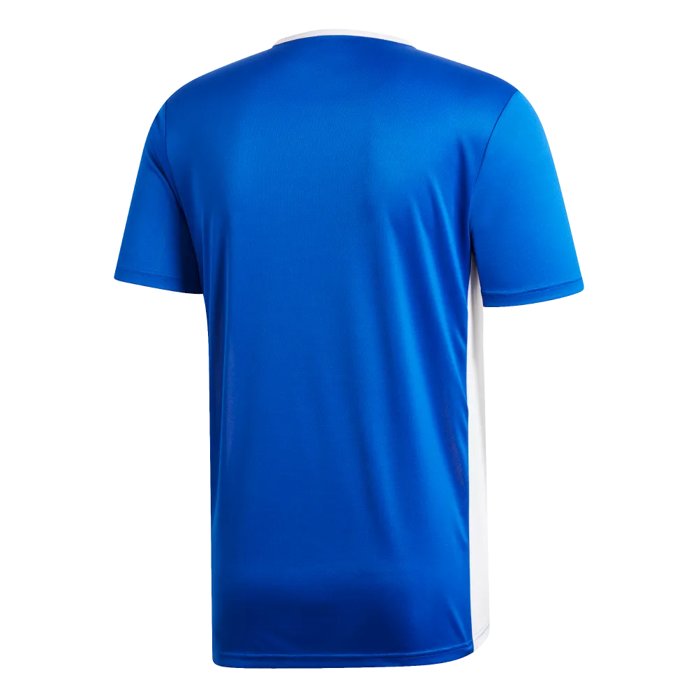 Adidas Adult Entrada 19 Jersey (Blue/White)